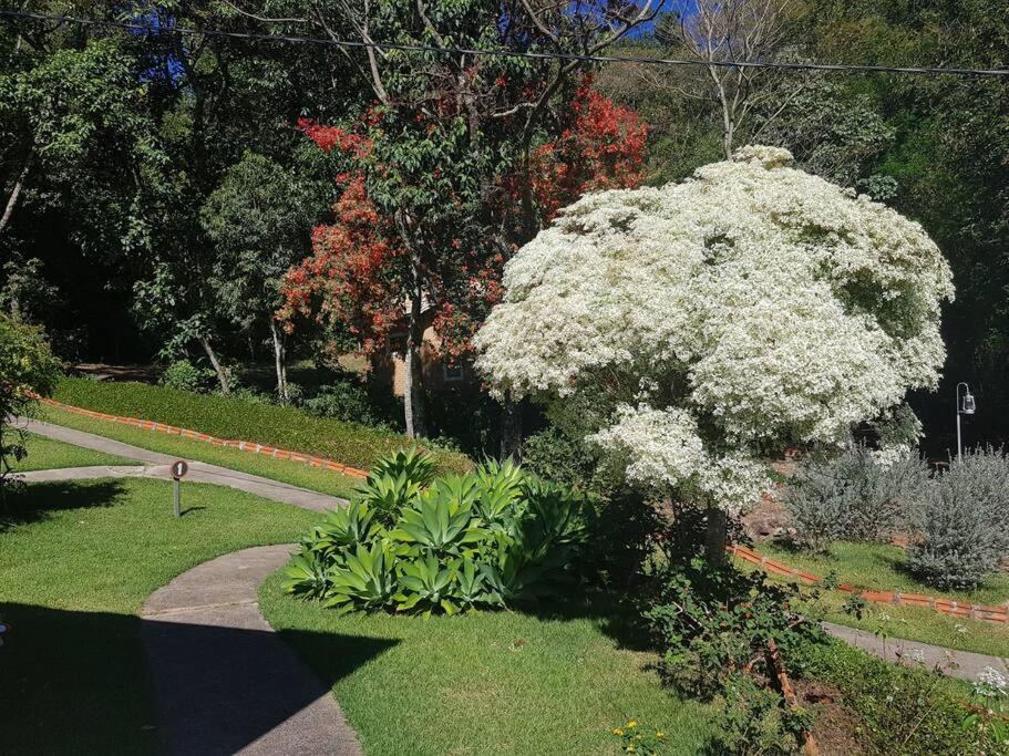 Recanto Dos Beija Flores, Chale Lantana B 南蒙蒂阿莱格里 外观 照片
